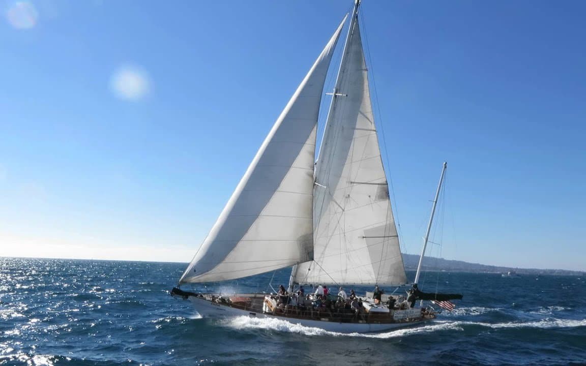 65' Sailing Yacht