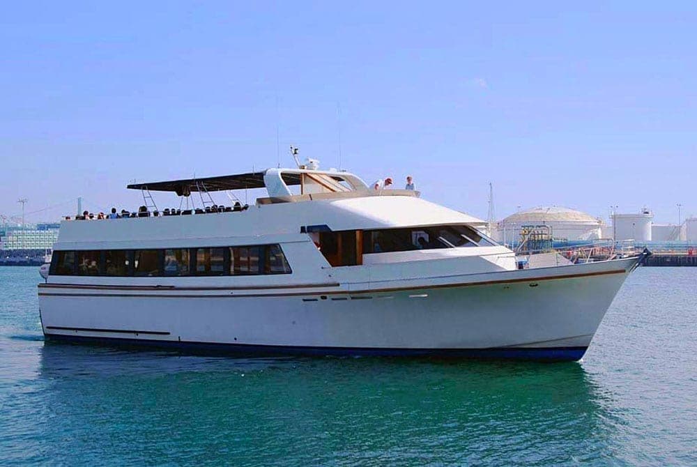 90′ WESTPORT (LGB)